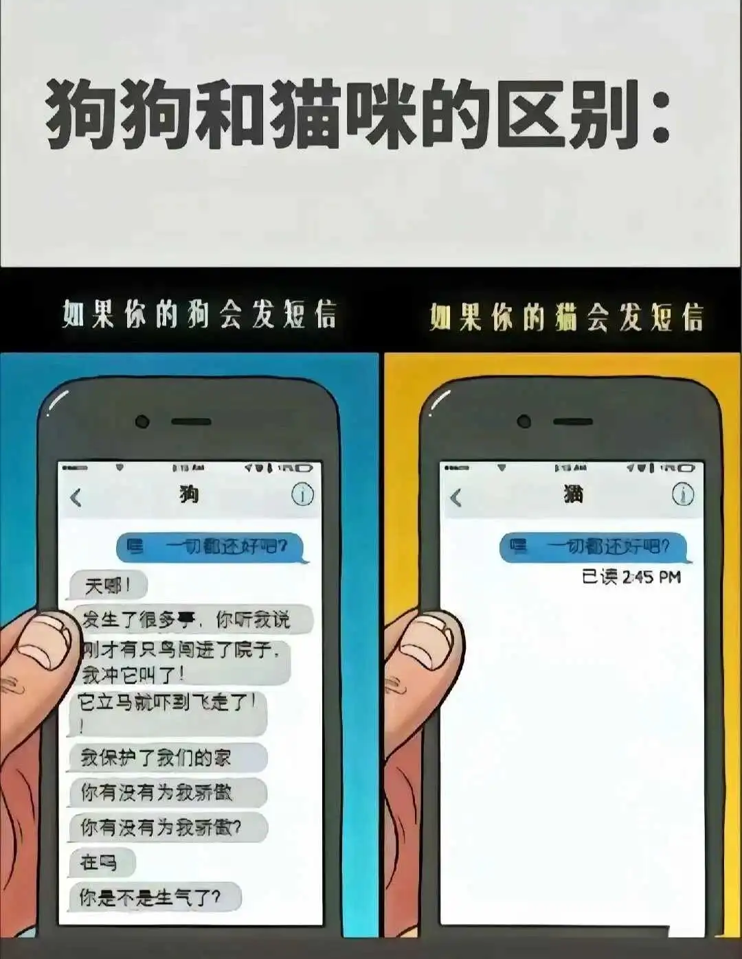 【西檬之家】DT是什么？BDSM字母圈新人入圈指南