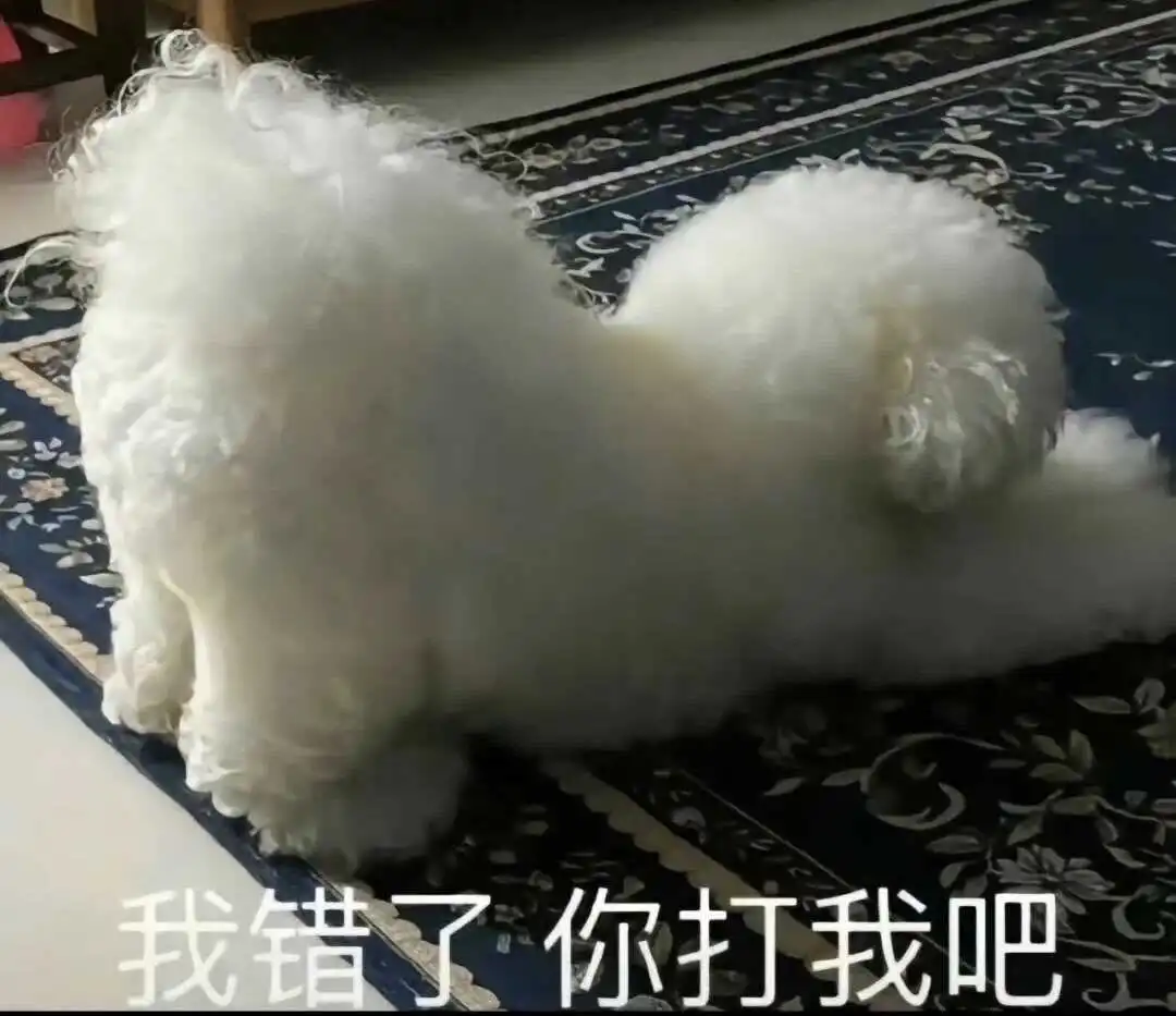西檬之家-DS关系是什么？字母圈新人入圈指南