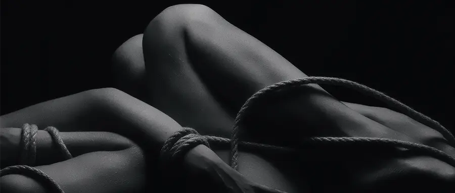 西檬之家-女王(BDSM)在字母圈新人指南中的地位
