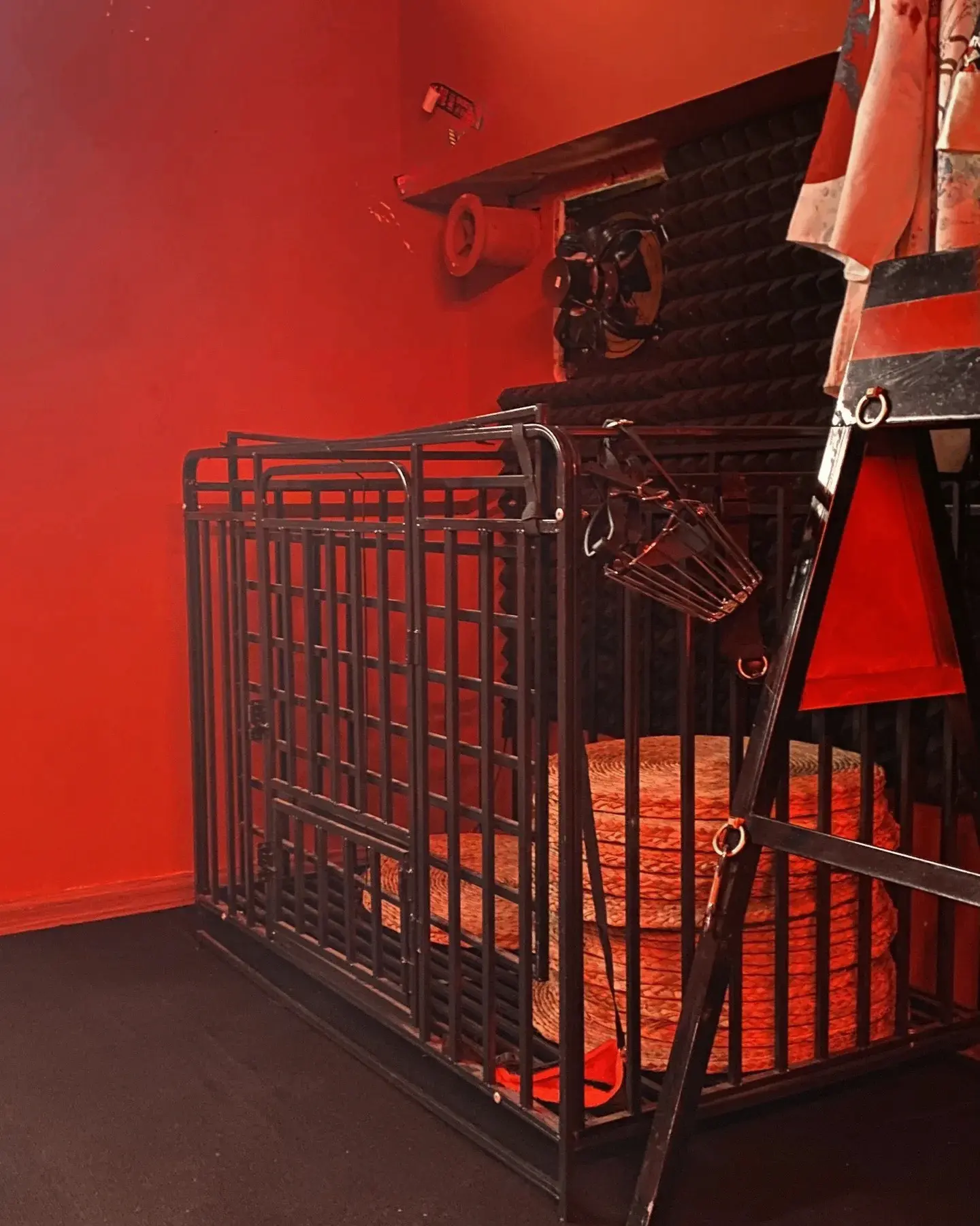 【西檬之家】BDSM字母圈的DOM是什么意思？