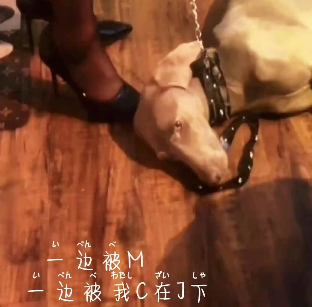 西檬之家-Sub是什么？BDSM圈内臣服者角色全解析