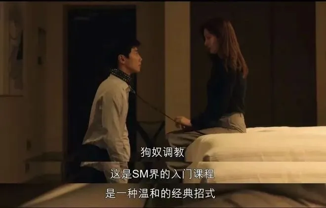 【西檬之家】字母圈新人入圈指南：读懂BDSM核心与术语