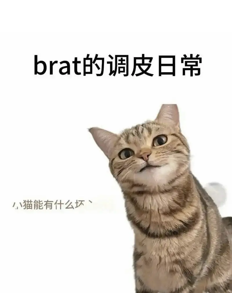 西檬之家-k9是什么？字母圈k9角色扮演全解析