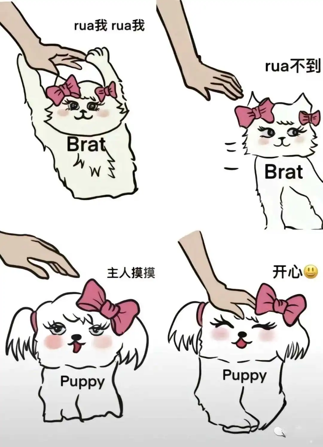 西檬之家-BDSM新人入门指南：从SSC原则到核心术语