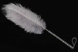 西檬之家-OTK是什么意思？字母圈新人入圈指南