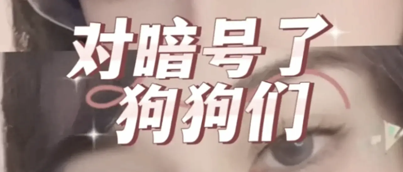 西檬之家：Sub是什么？解析字母圈新人必修的核心概念