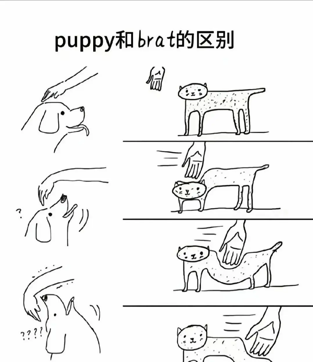 西檬之家-BDSM安全词是什么？新手入门必读指南
